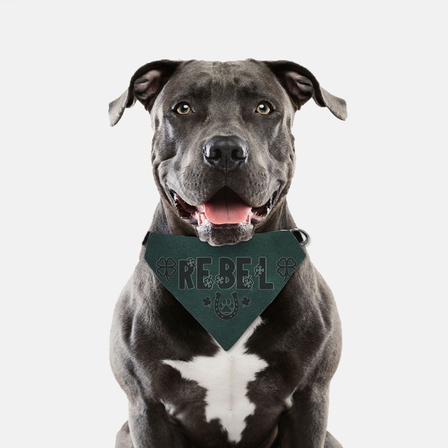 Lucky Charm Custom Bandana Collar