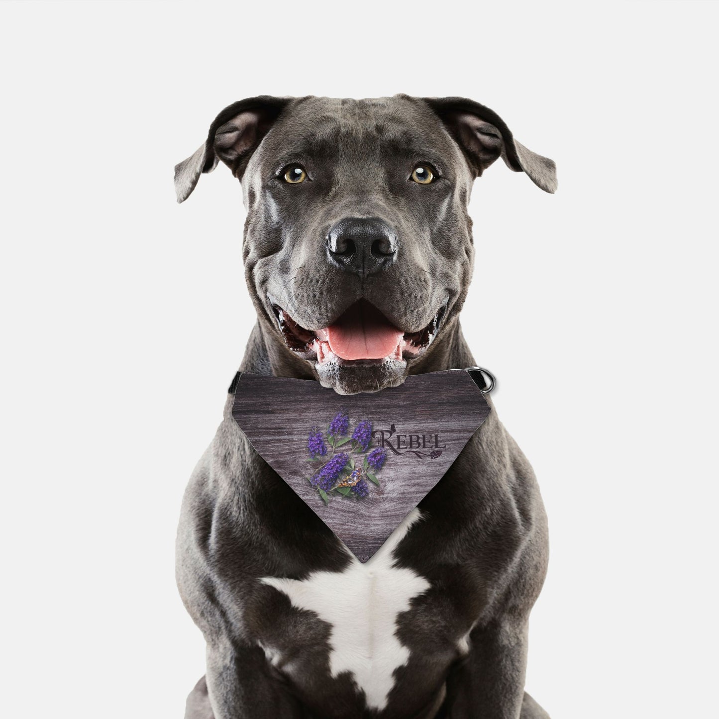 Butterfly Bush Bloom Custom Paw Print Bandana Collar