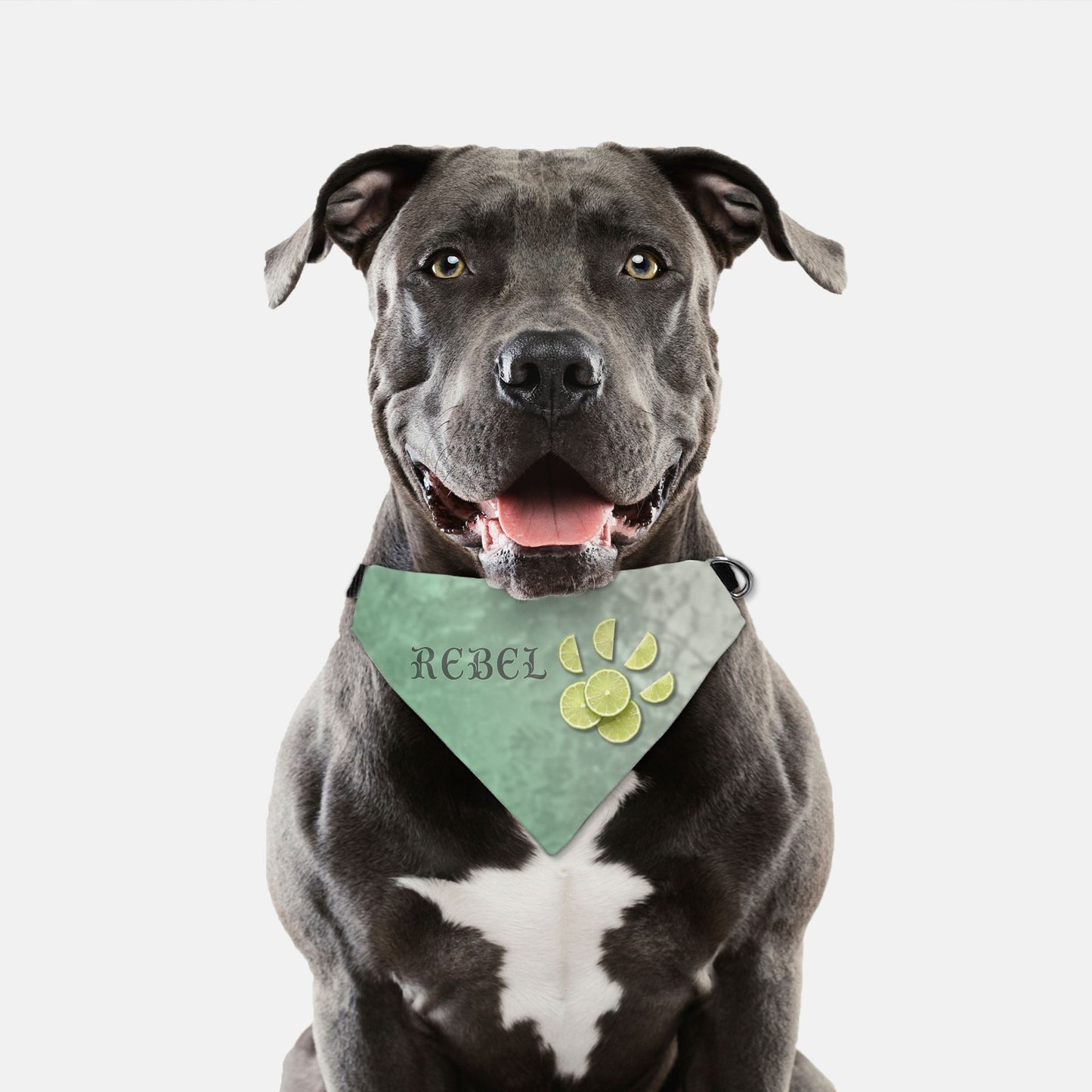 Lime Slice Custom Paw Print Bandana Collar