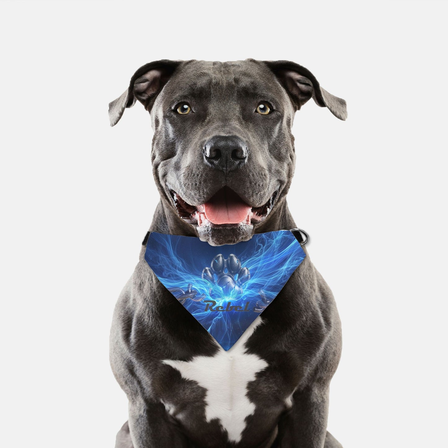 Broken Chains Custom Pet Name Bandana Collar