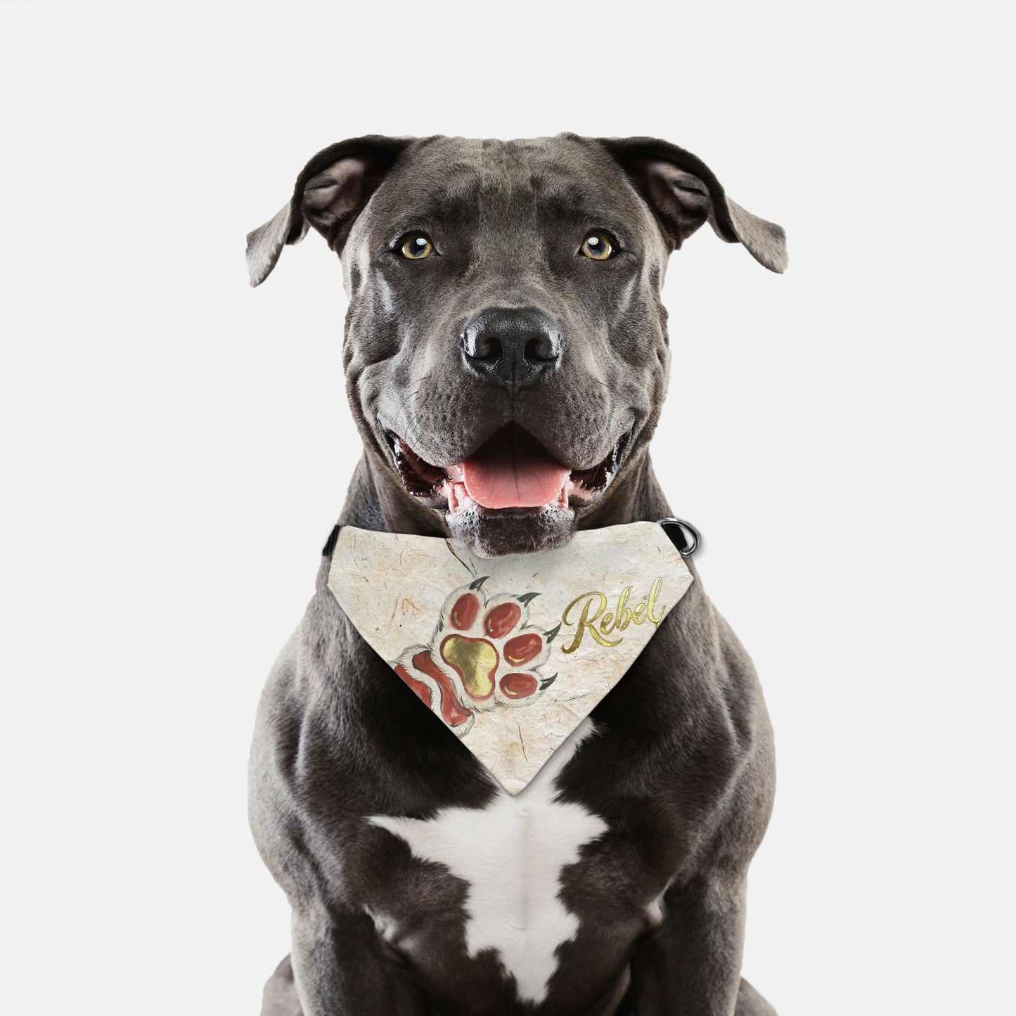 Lion Dance Brush Custom Paw Print Bandana Collar