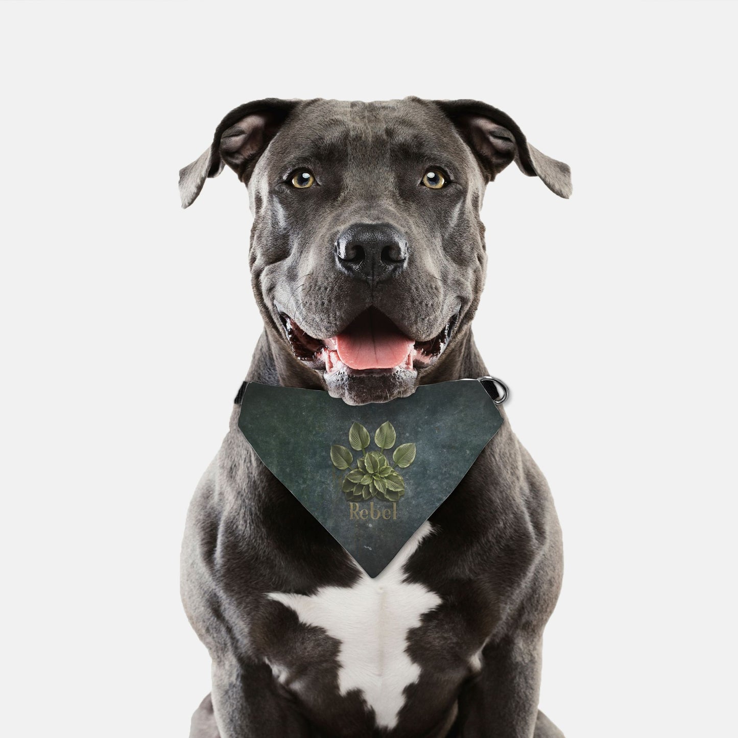 Hosta Glaze Custom Paw Print Bandana Collar
