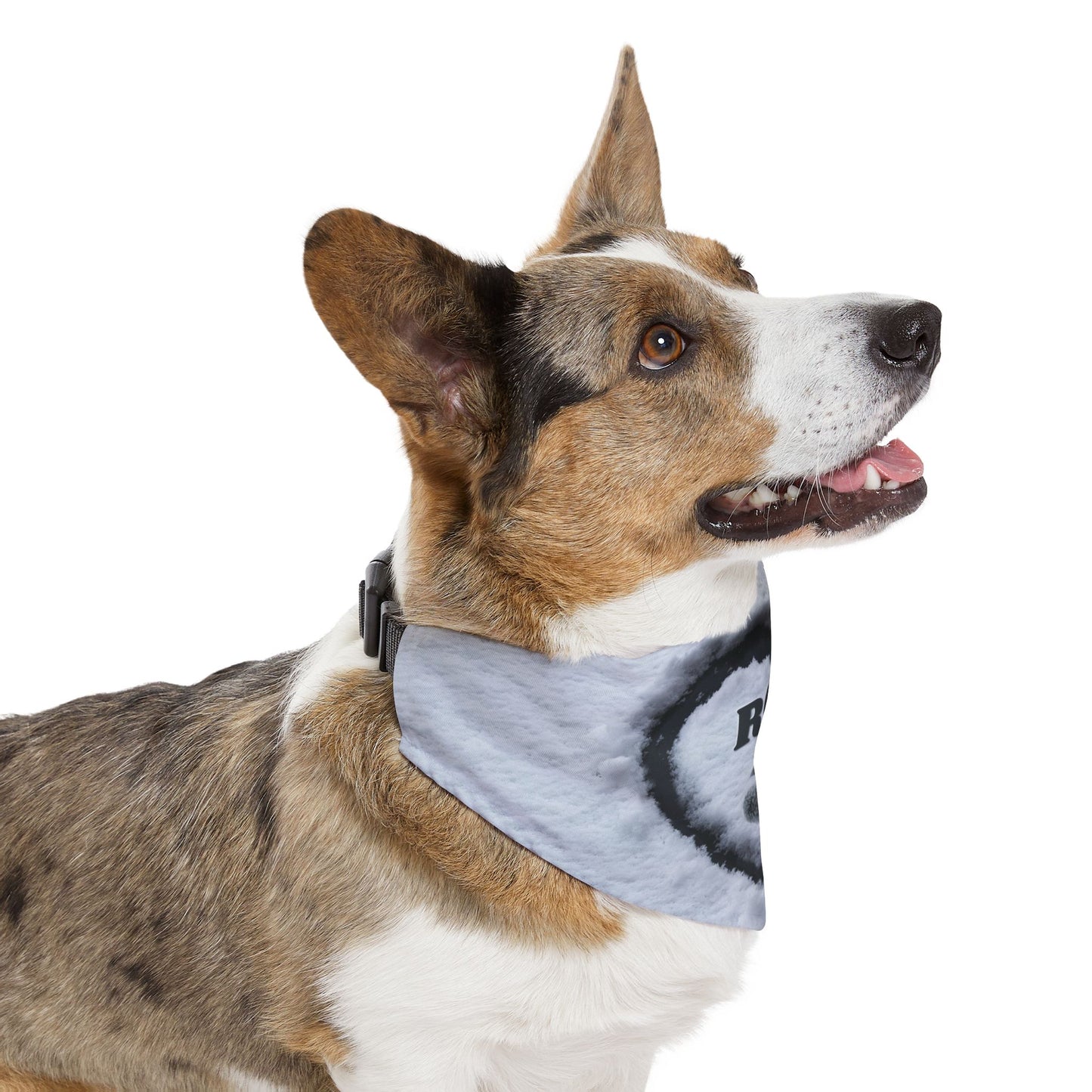 Snow Heart Custom Paw Print Bandana Collar