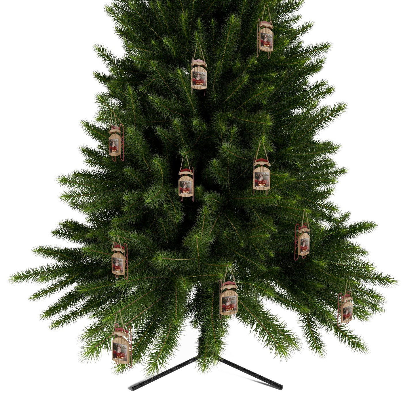 First Christmas 2025 Personalized Sled Ornament