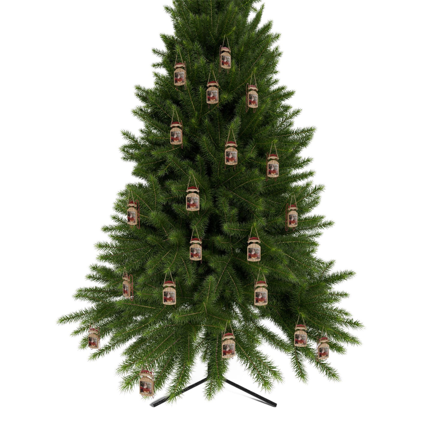 First Christmas 2025 Personalized Sled Ornament