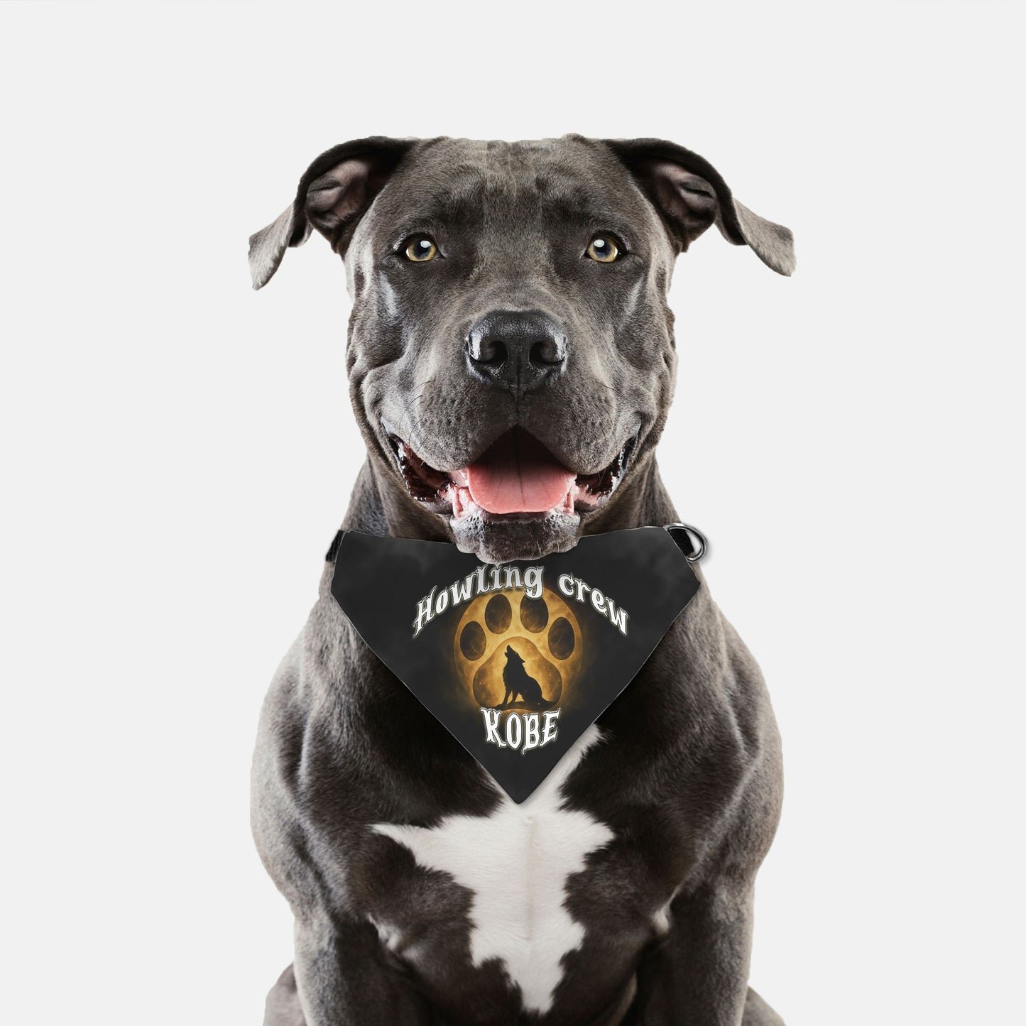 Howling Crew Custom Paw Print Bandana Collar