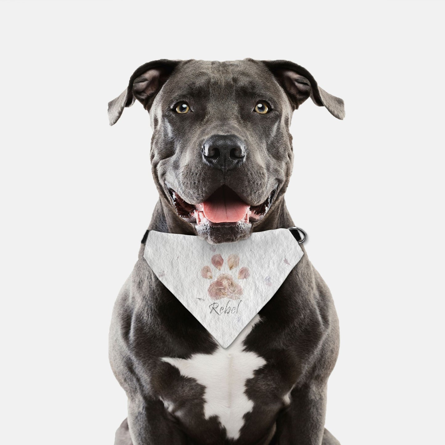 Pressed Petal Paper Custom Paw Print Bandana Collar