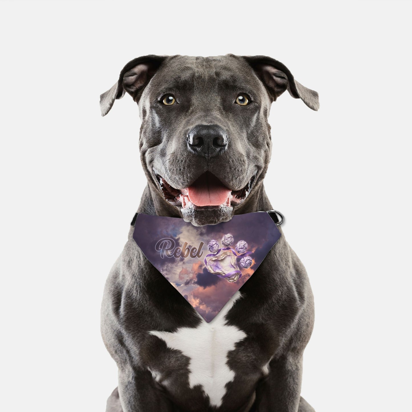 Alzheimer's Awareness Custom Paw Print Bandana Collar