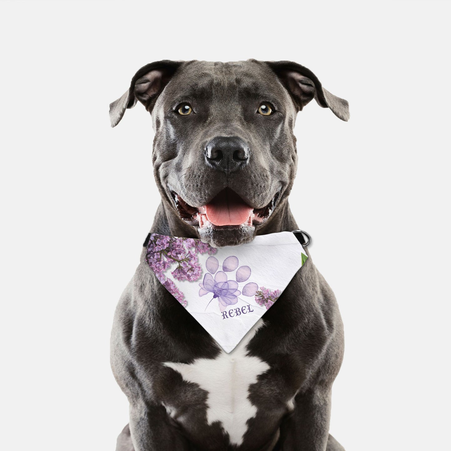 Lilac Bloom Custom Paw Print Bandana Collar