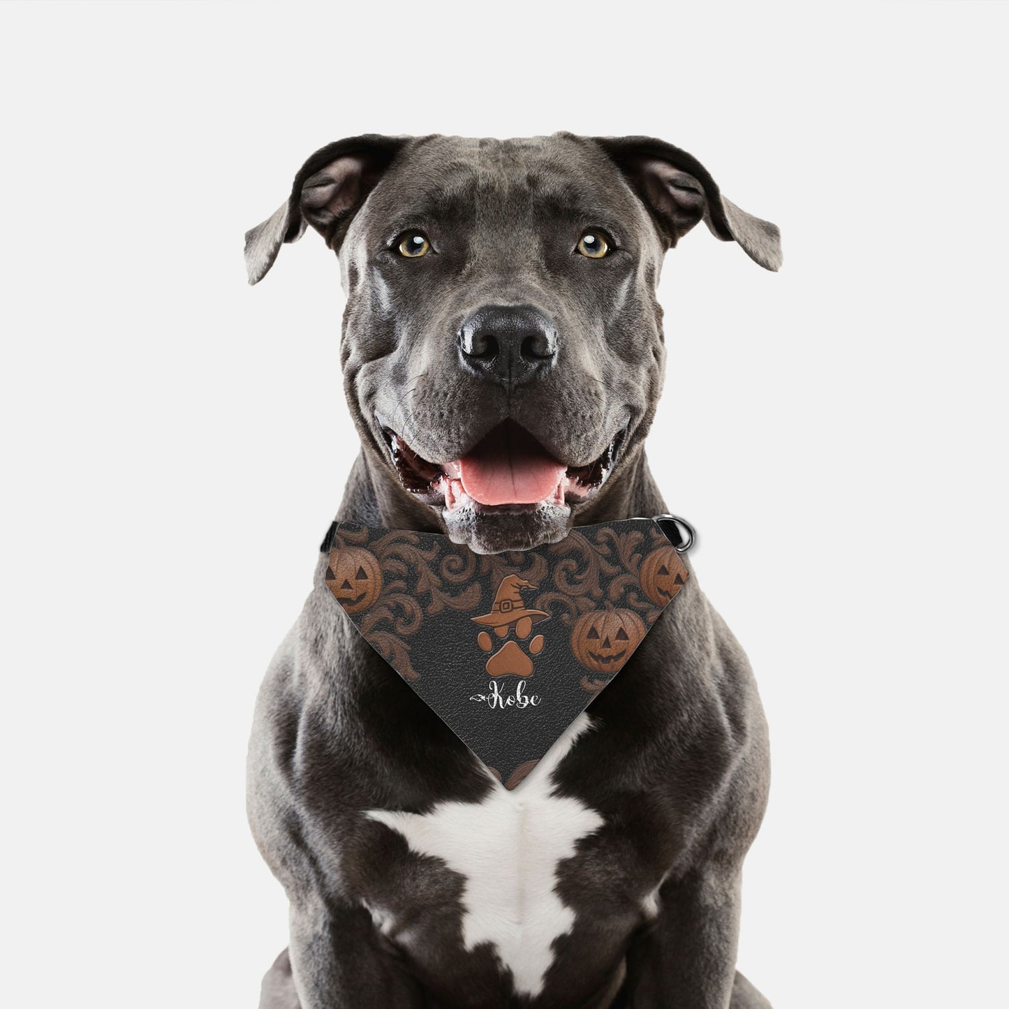 Bewitched Custom Paw Print Bandana Collar