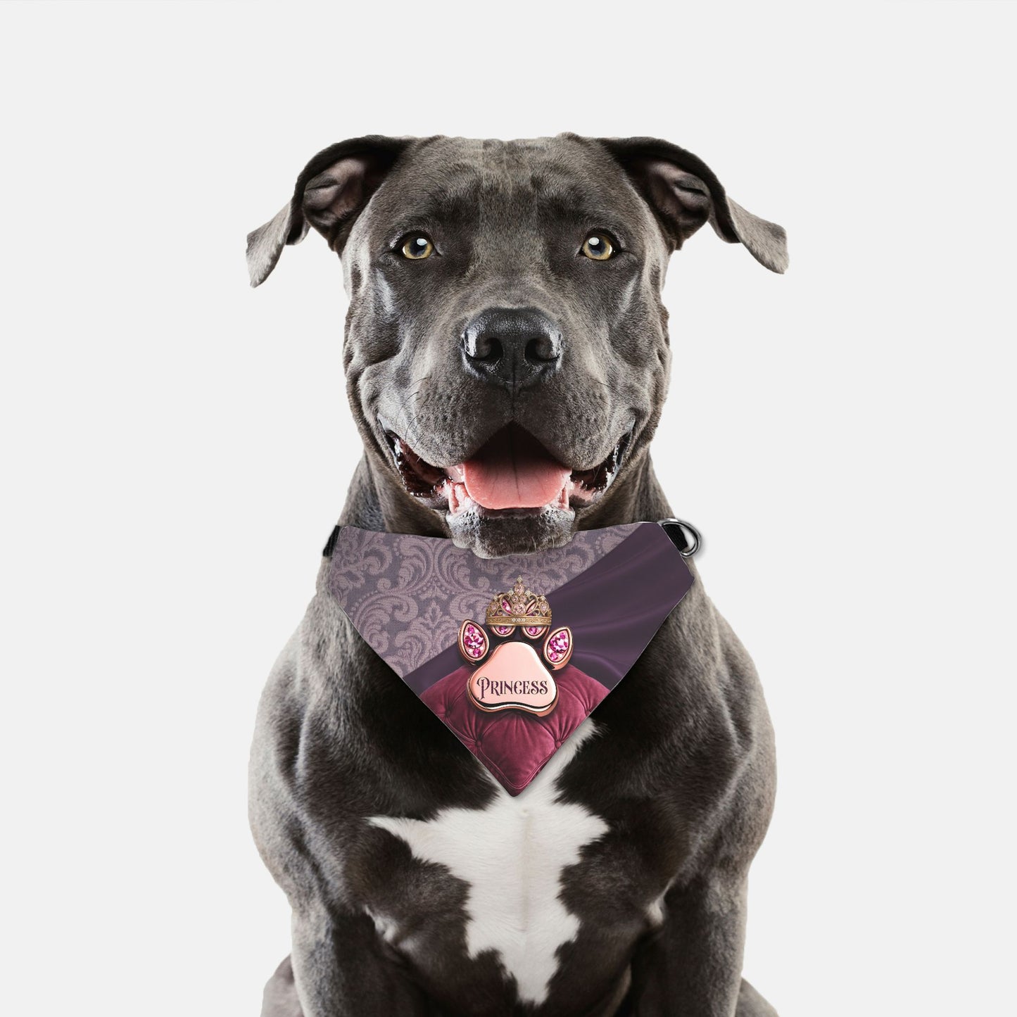 Princess Paw Print Bandana Collar
