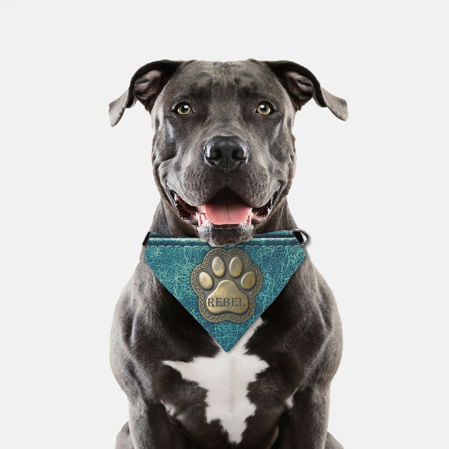 Celtic Medallion Distressed Leather Custom Paw Print Bandana Collar XL