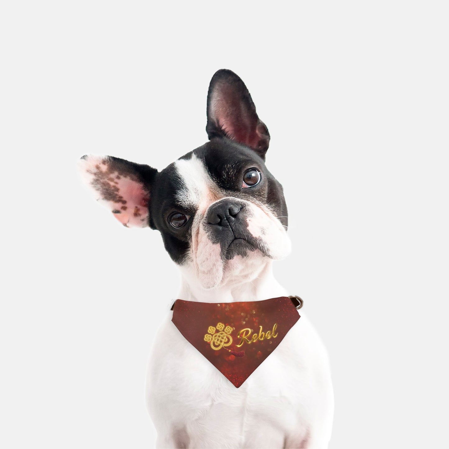 Fortune Knot Custom Paw Print Bandana Collar