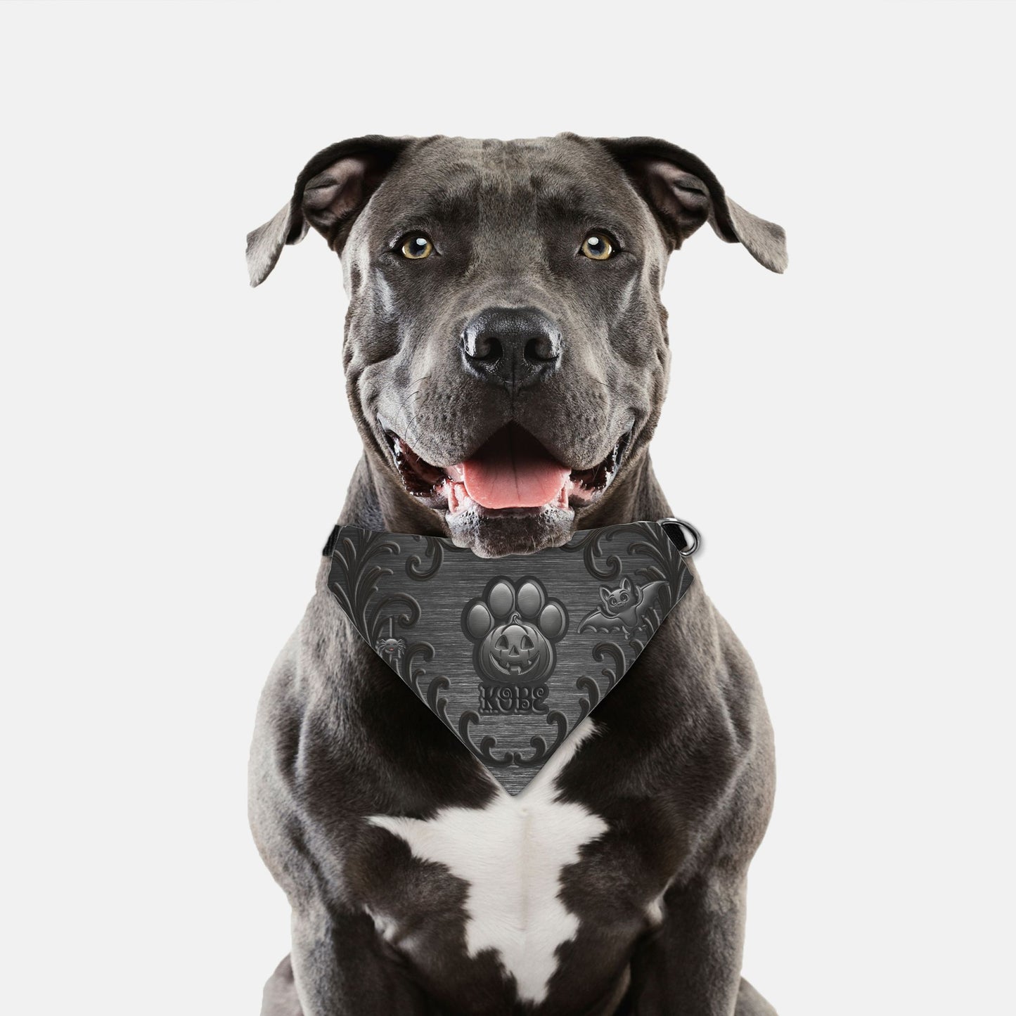 Midnight Mischief Custom Paw Print Bandana Collar