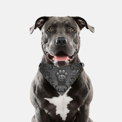 Midnight Mischief Custom Paw Print Bandana Collar