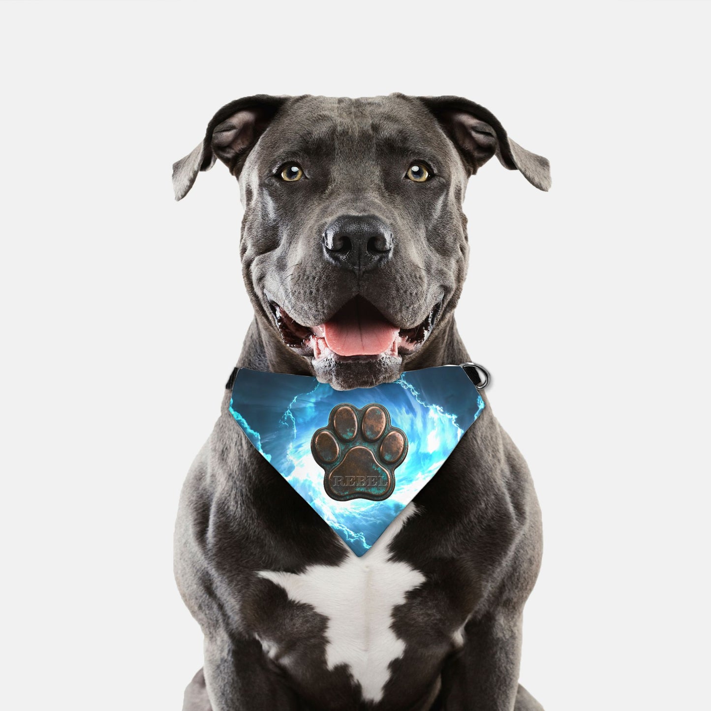 Stormforged Copper Custom Paw Print Bandana Collar