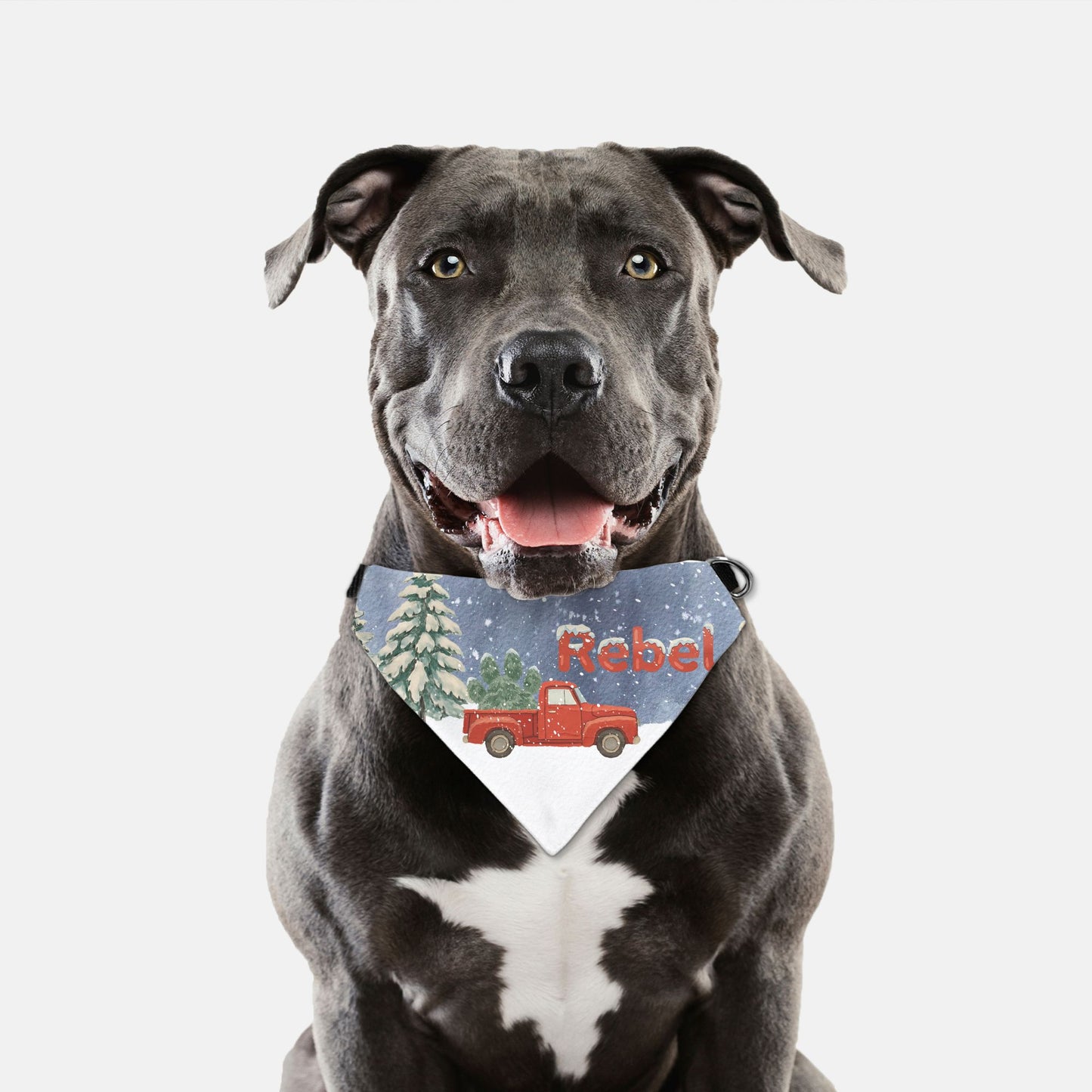 Winter Pickup Custom Bandana Collar
