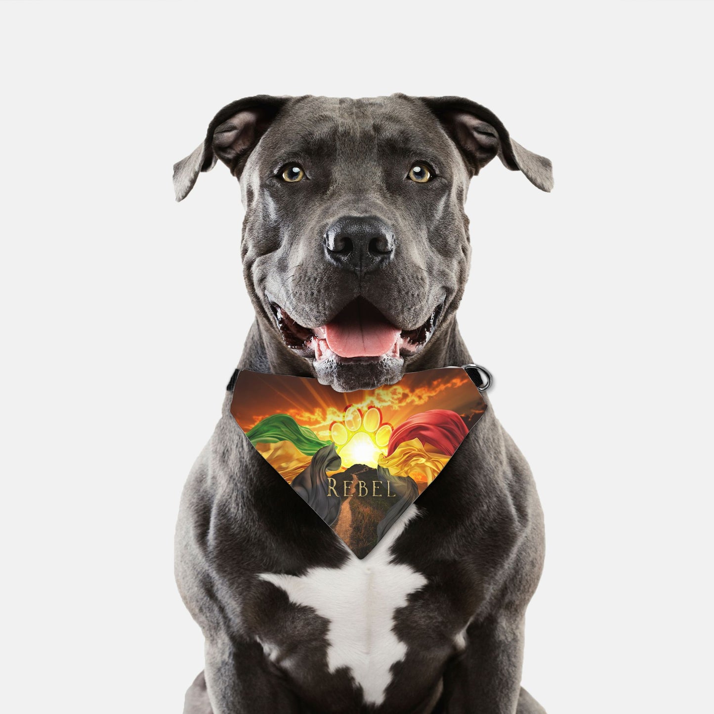 Juneteenth Rising Path Custom Paw Print Bandana Collar