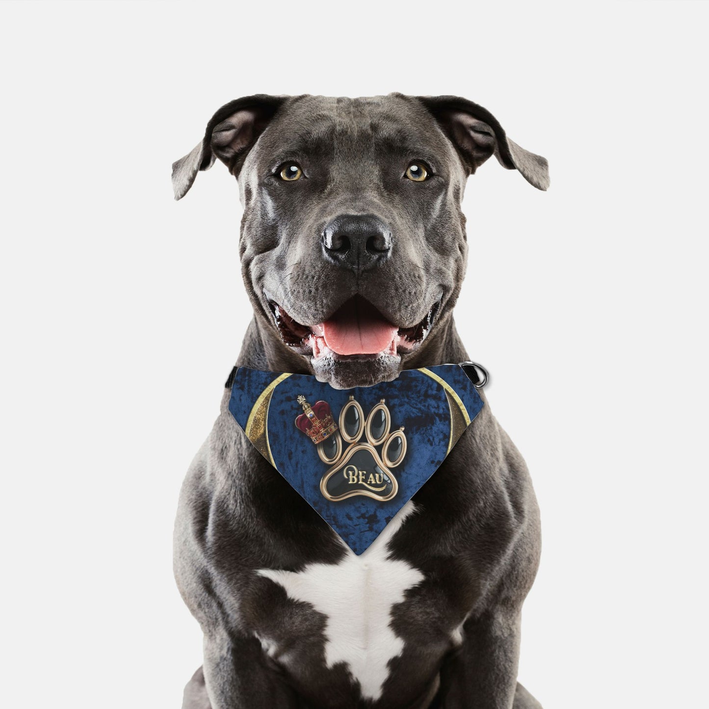 King Custom Paw Print Bandana Collar