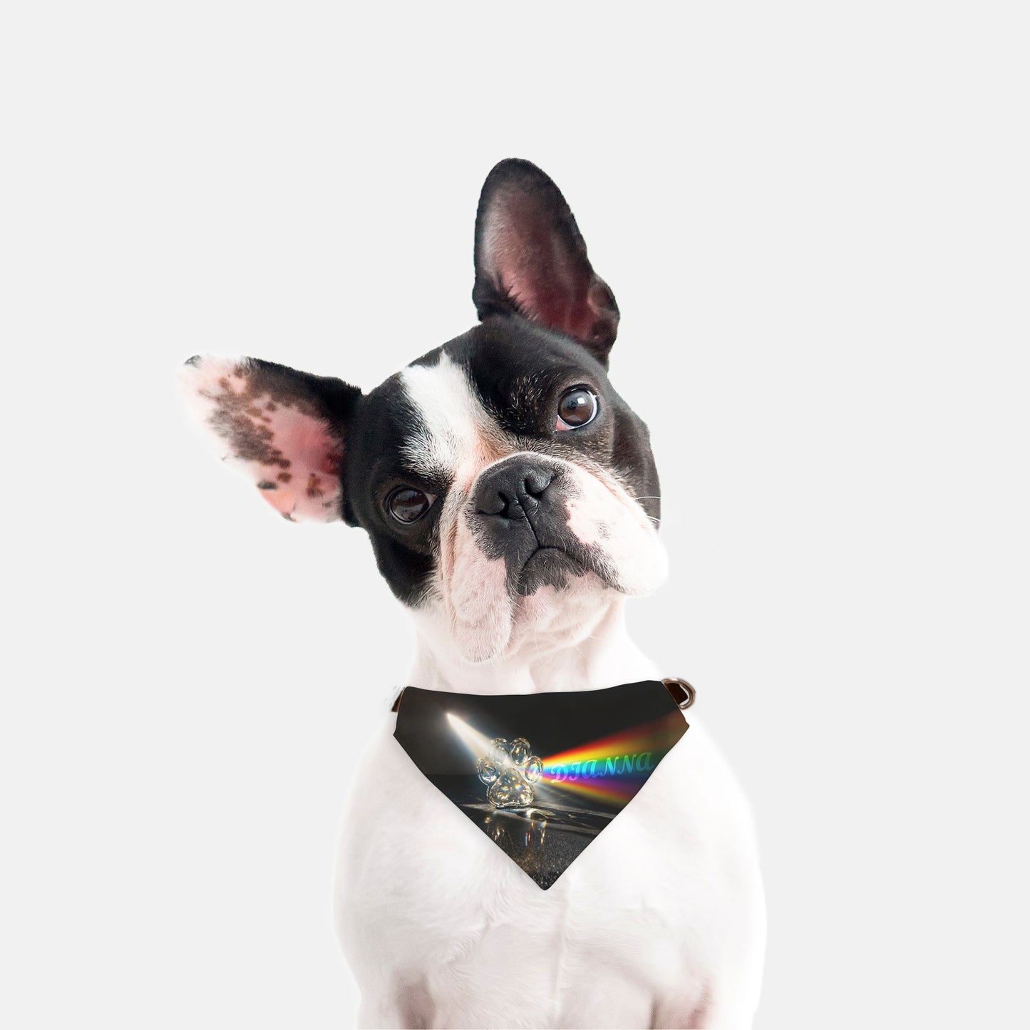 Crystal Prism Custom Paw Print Bandana Collar