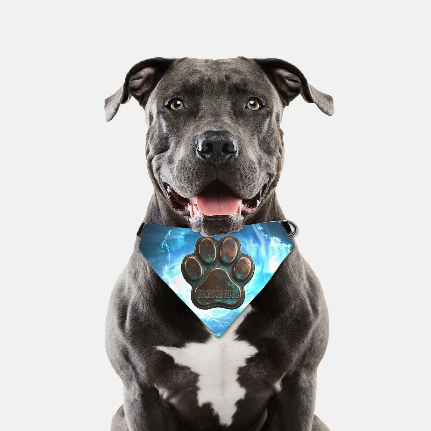 Stormforged Copper Custom Paw Print Bandana Collar