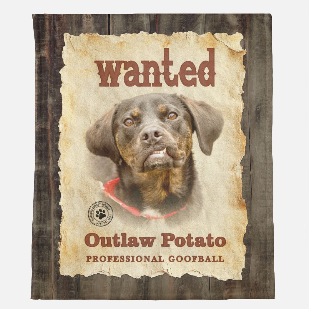 Wanted Poster – Custom Minky Blanket