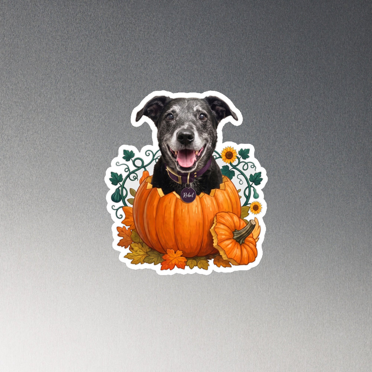 Rebel Pumpkin Pop 6-inch die-cut magnet product mockup on a grey magnetic surface