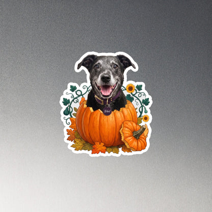 Rebel Pumpkin Pop 6-inch die-cut magnet product mockup on a grey magnetic surface