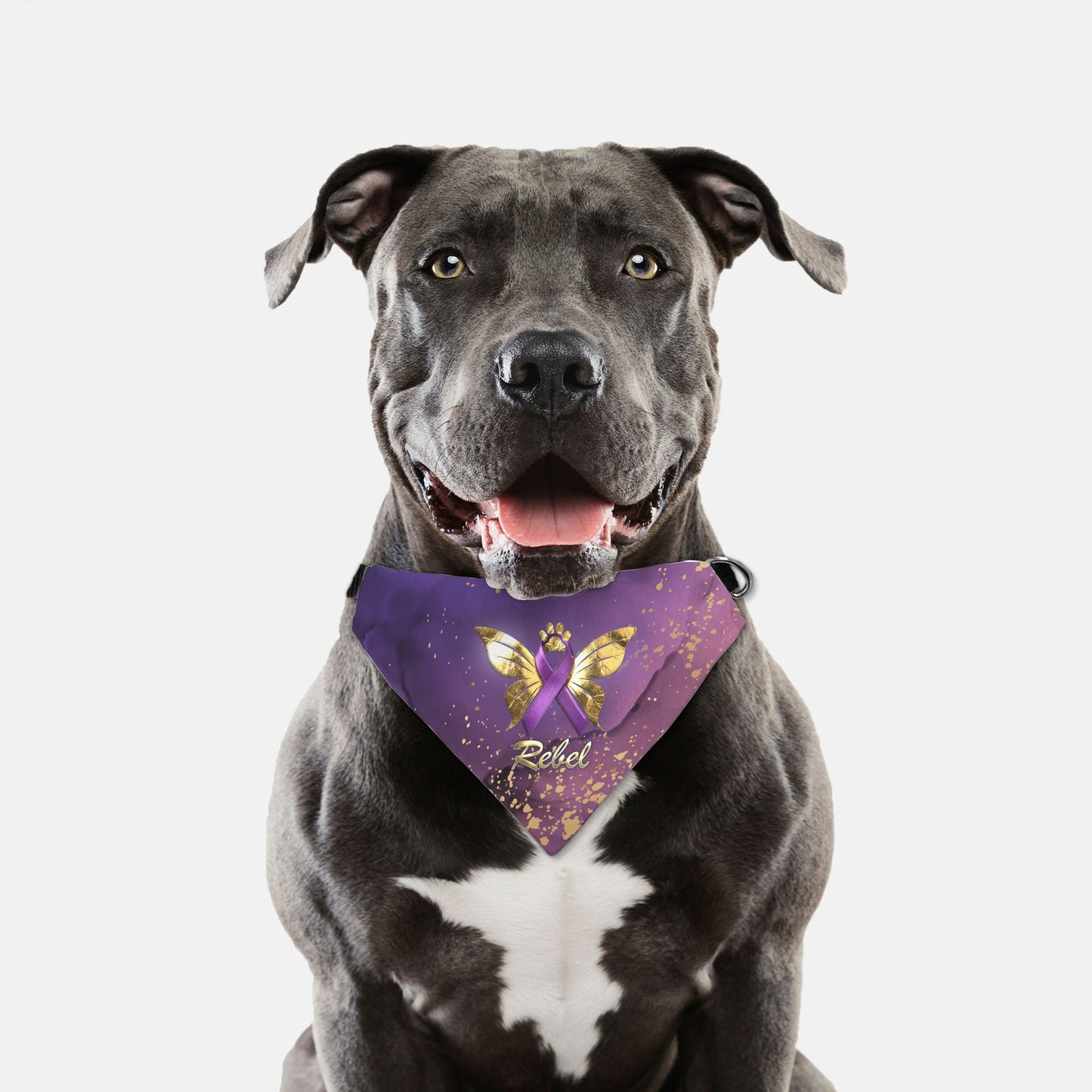 Epilepsy Awareness Custom Bandana Collar