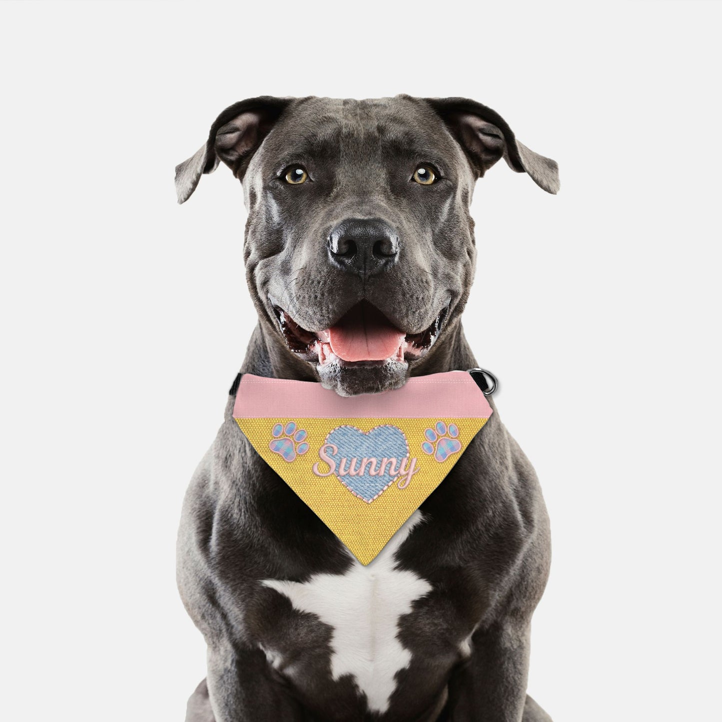 K-Fashion Pastel Heart Custom Paw Print Bandana Collar L