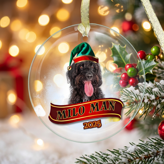 Snowball 2025 Ornament - Clear Glass (Round)