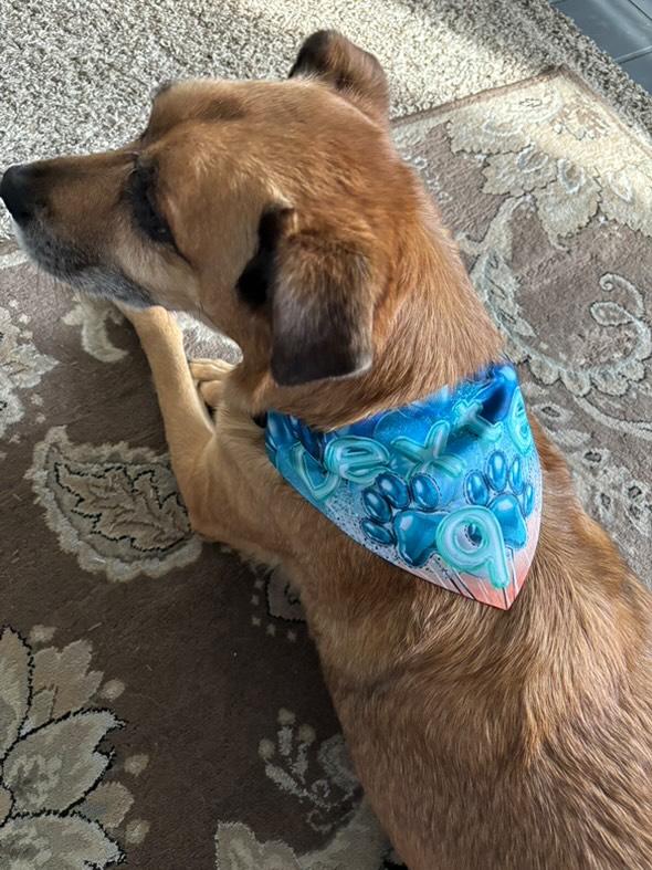 Sunset Birthday Custom Paw Print Bandana Collar