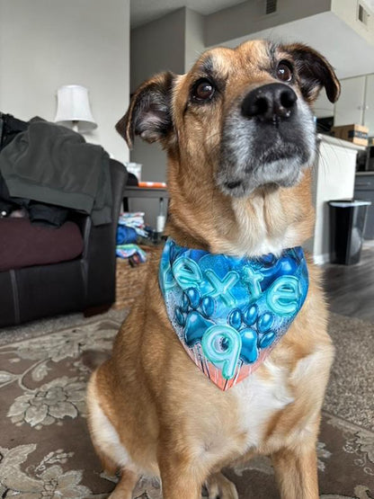 Sunset Birthday Custom Paw Print Bandana Collar