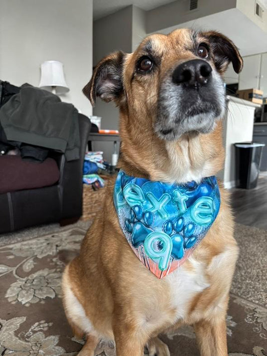 Sunset Birthday Custom Paw Print Bandana Collar