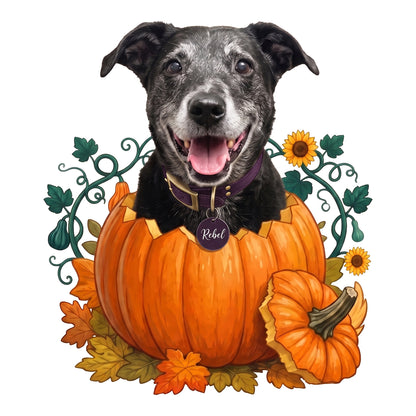 Pumpkin Pop sample with Rebel, illustration by Shadow’s Jazzy Sketches
